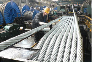 技術(shù)創(chuàng)新驅(qū)動發(fā)展 貴州鋼繩以研發(fā)優(yōu)勢筑牢核心競爭力