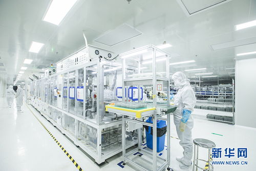 聚焦高質量發展 | 芯光燦爛，點亮黃石老工業基地轉型之路